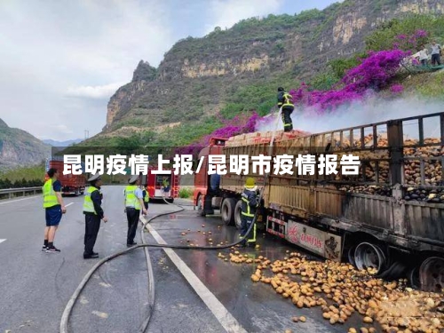 昆明疫情上报/昆明市疫情报告-第1张图片
