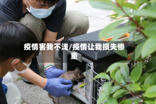 疫情害我不浅/疫情让我损失惨重-第1张图片