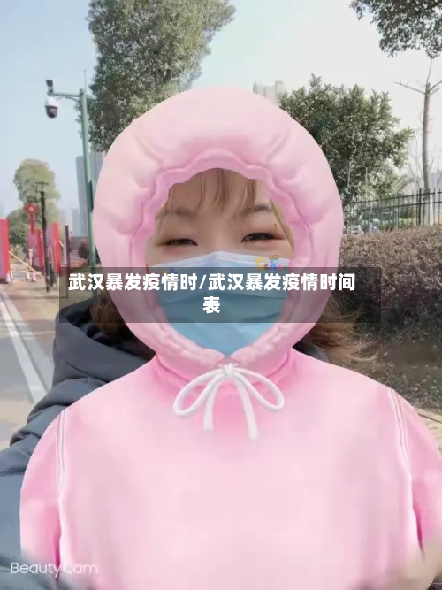 武汉暴发疫情时/武汉暴发疫情时间表-第2张图片