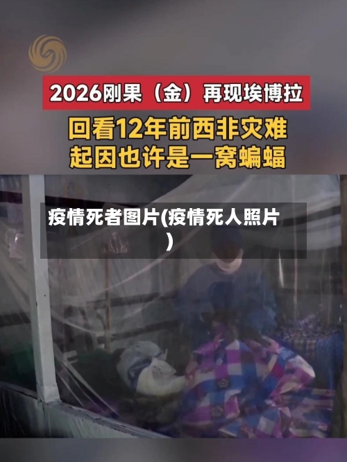 疫情死者图片(疫情死人照片)-第1张图片