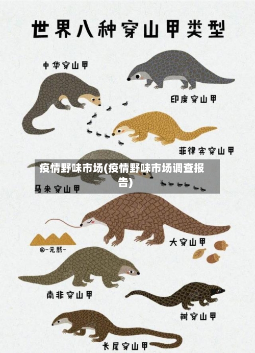 疫情野味市场(疫情野味市场调查报告)-第1张图片