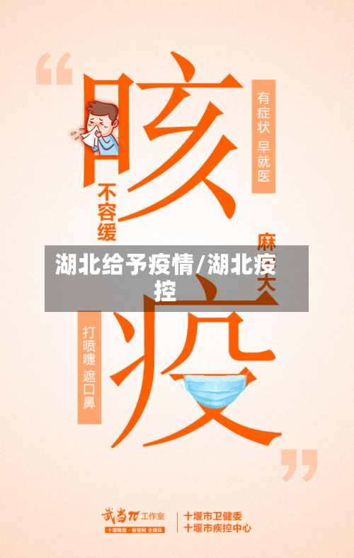 湖北给予疫情/湖北疫控-第2张图片