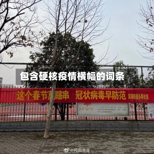 包含硬核疫情横幅的词条-第3张图片