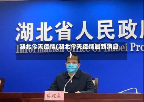 湖北今天疫情(湖北今天疫情最新消息)-第2张图片