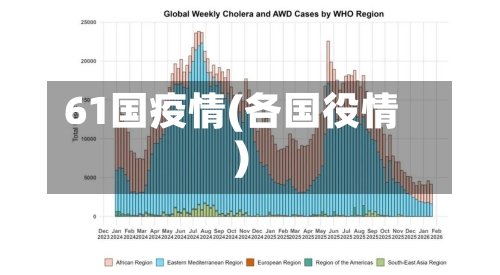 61国疫情(各国役情)-第2张图片