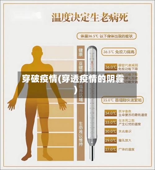 穿破疫情(穿透疫情的阴霾)-第3张图片