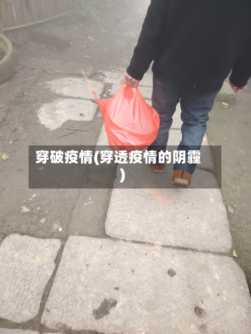 穿破疫情(穿透疫情的阴霾)-第1张图片