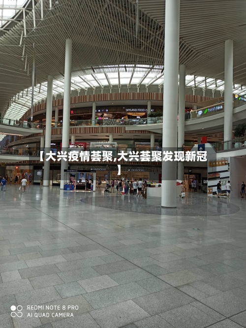 【大兴疫情荟聚,大兴荟聚发现新冠】-第2张图片