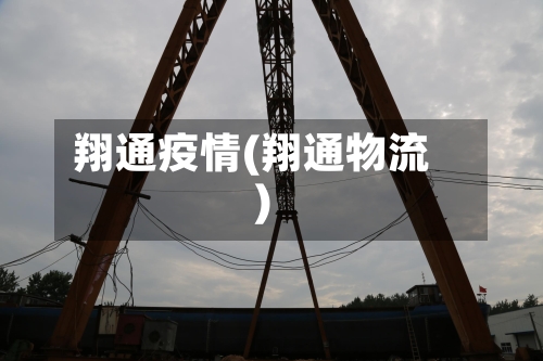 翔通疫情(翔通物流)-第2张图片