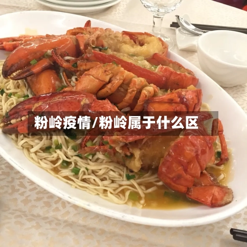 粉岭疫情/粉岭属于什么区-第1张图片