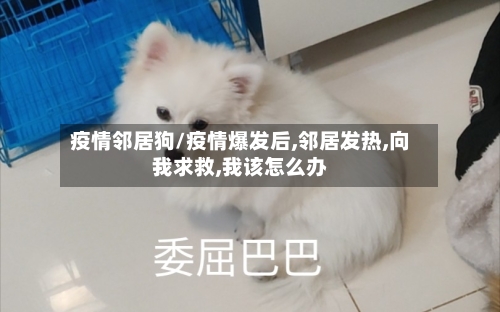 疫情邻居狗/疫情爆发后,邻居发热,向我求救,我该怎么办-第1张图片
