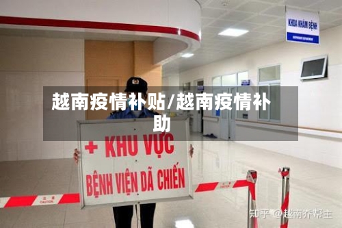越南疫情补贴/越南疫情补助-第2张图片