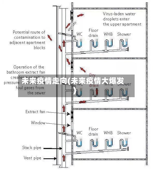未来疫情走向(未来疫情大爆发)-第1张图片