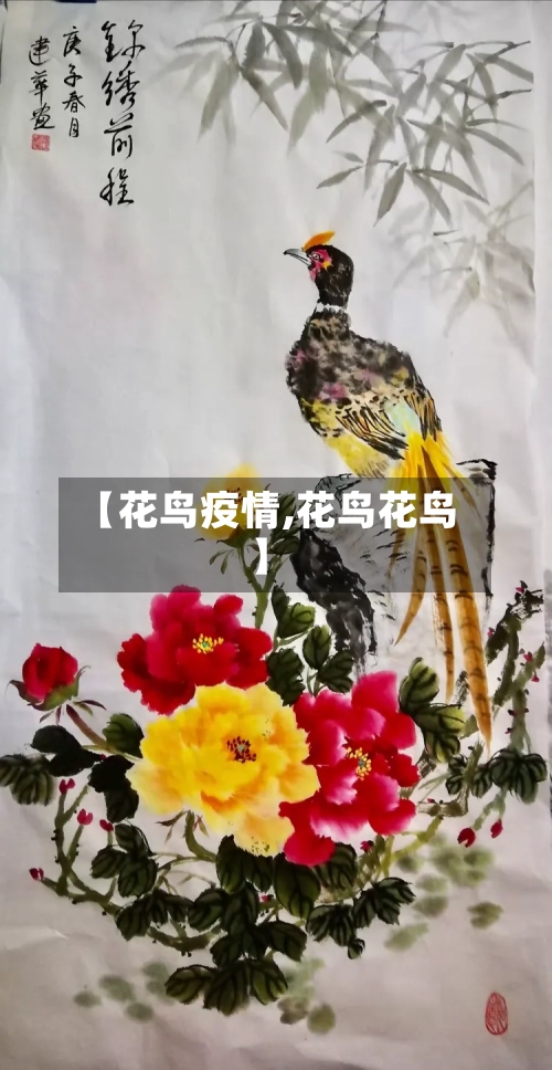【花鸟疫情,花鸟花鸟】-第1张图片