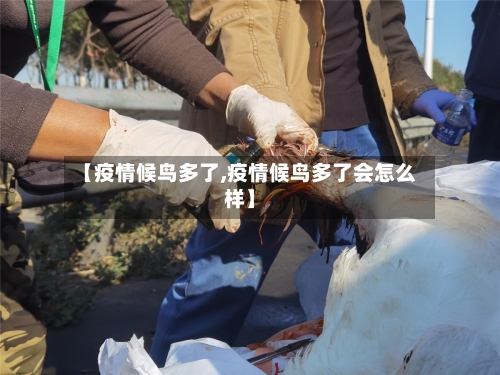 【疫情候鸟多了,疫情候鸟多了会怎么样】-第1张图片