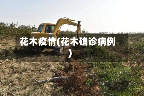 花木疫情(花木确诊病例)-第2张图片