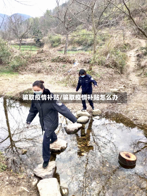 骗取疫情补贴/骗取疫情补贴怎么办-第1张图片