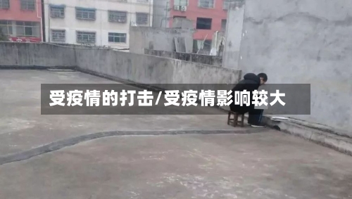 受疫情的打击/受疫情影响较大-第2张图片