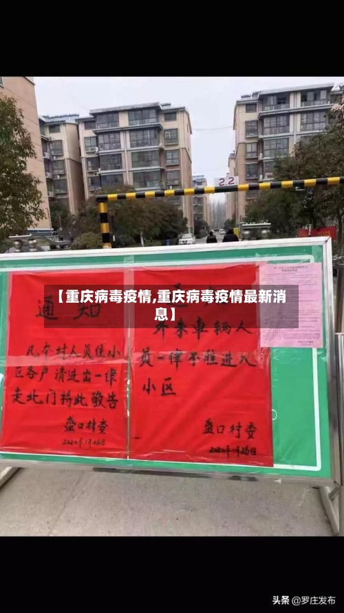 【重庆病毒疫情,重庆病毒疫情最新消息】-第1张图片