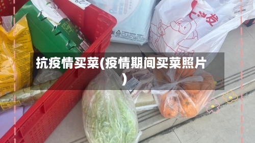 抗疫情买菜(疫情期间买菜照片)-第1张图片