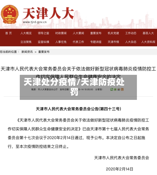 天津处分疫情/天津防疫处罚-第1张图片
