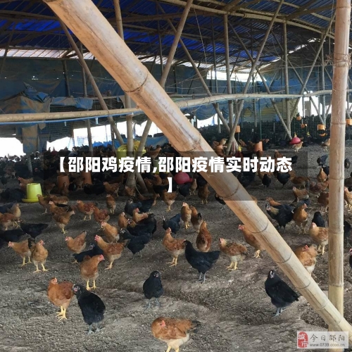 【邵阳鸡疫情,邵阳疫情实时动态】-第2张图片