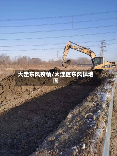 大洼东风疫情/大洼区东风镇地图-第1张图片