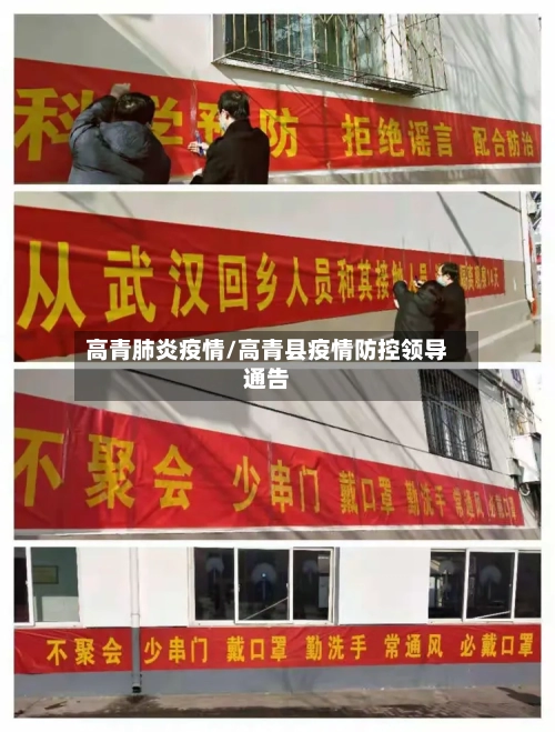 高青肺炎疫情/高青县疫情防控领导通告-第3张图片