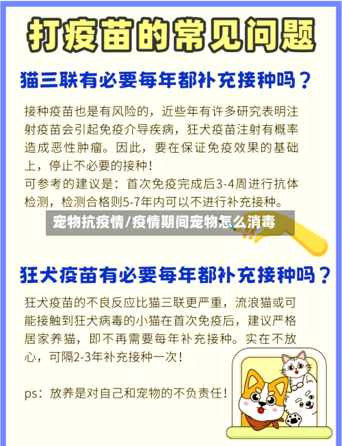 宠物抗疫情/疫情期间宠物怎么消毒-第2张图片
