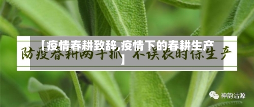 【疫情春耕致辞,疫情下的春耕生产】-第1张图片
