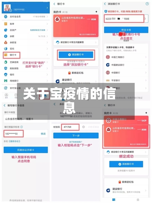关于宝疫情的信息-第2张图片