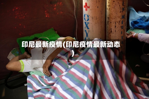 印尼最新疫情(印尼疫情最新动态)-第3张图片