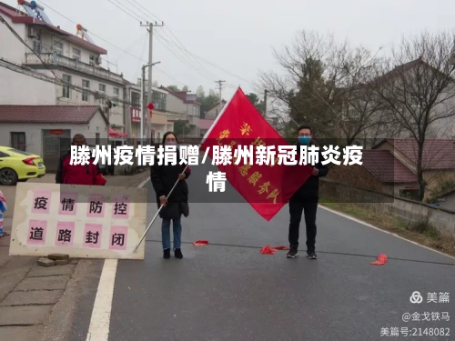 滕州疫情捐赠/滕州新冠肺炎疫情-第2张图片