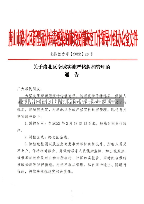 荆州疫情问题/荆州疫情指挥部通告-第3张图片