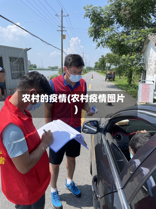 农村的疫情(农村疫情图片)-第2张图片
