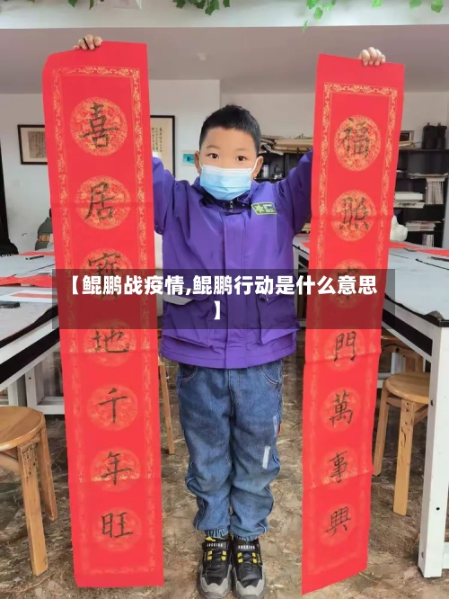 【鲲鹏战疫情,鲲鹏行动是什么意思】-第2张图片