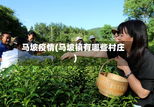 马坡疫情(马坡镇有哪些村庄)-第1张图片