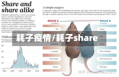 耗子疫情/耗子share-第2张图片