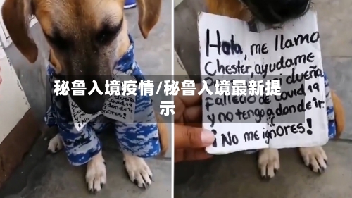 秘鲁入境疫情/秘鲁入境最新提示-第3张图片