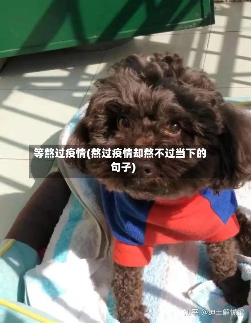 等熬过疫情(熬过疫情却熬不过当下的句子)-第1张图片