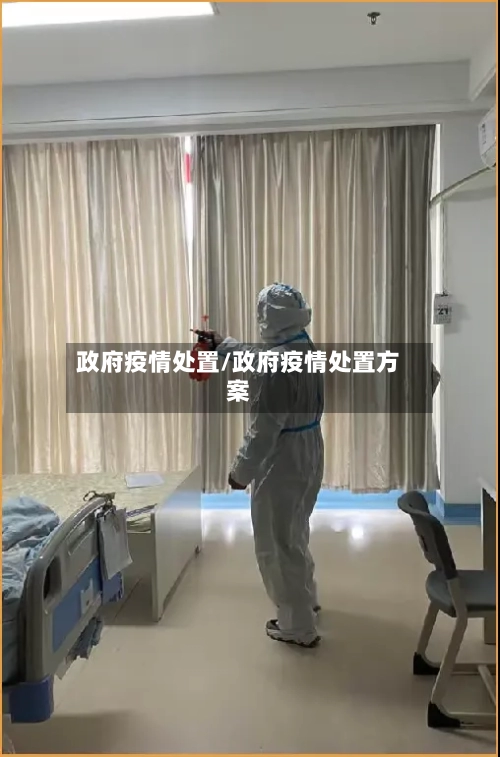 政府疫情处置/政府疫情处置方案-第2张图片