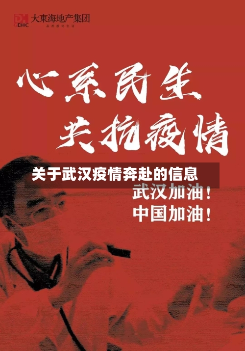 关于武汉疫情奔赴的信息-第3张图片