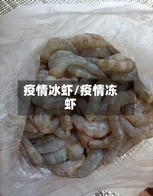 疫情冰虾/疫情冻虾-第3张图片