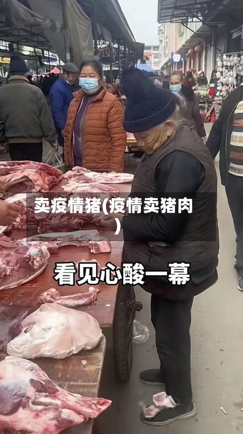 卖疫情猪(疫情卖猪肉)-第1张图片