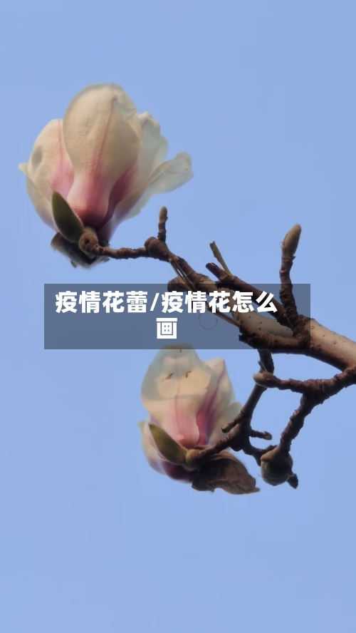 疫情花蕾/疫情花怎么画-第2张图片
