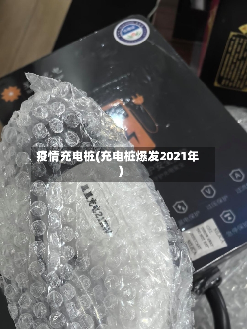 疫情充电桩(充电桩爆发2021年)-第3张图片