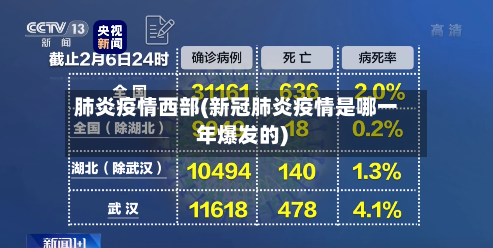 肺炎疫情西部(新冠肺炎疫情是哪一年爆发的)-第2张图片