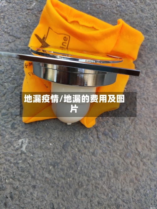 地漏疫情/地漏的费用及图片-第2张图片