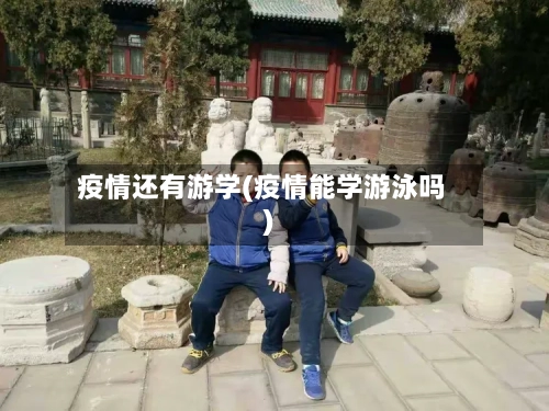 疫情还有游学(疫情能学游泳吗)-第2张图片