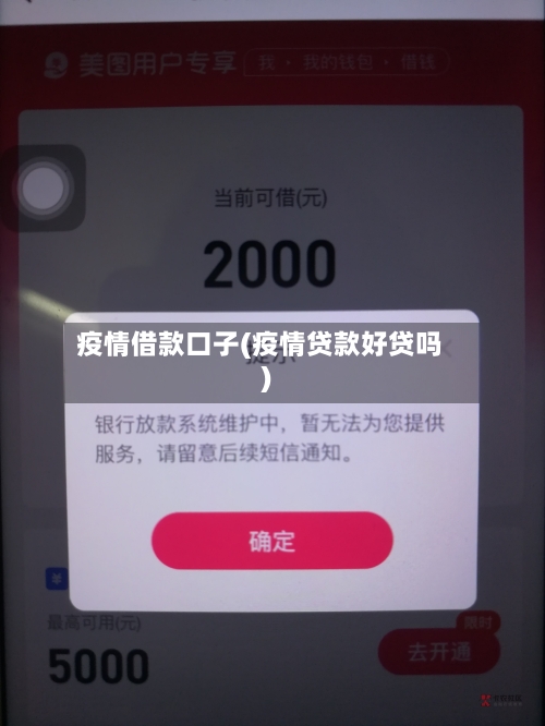 疫情借款口子(疫情贷款好贷吗)-第2张图片